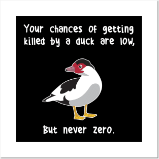 Muscovy Duck Never Zero Posters and Art